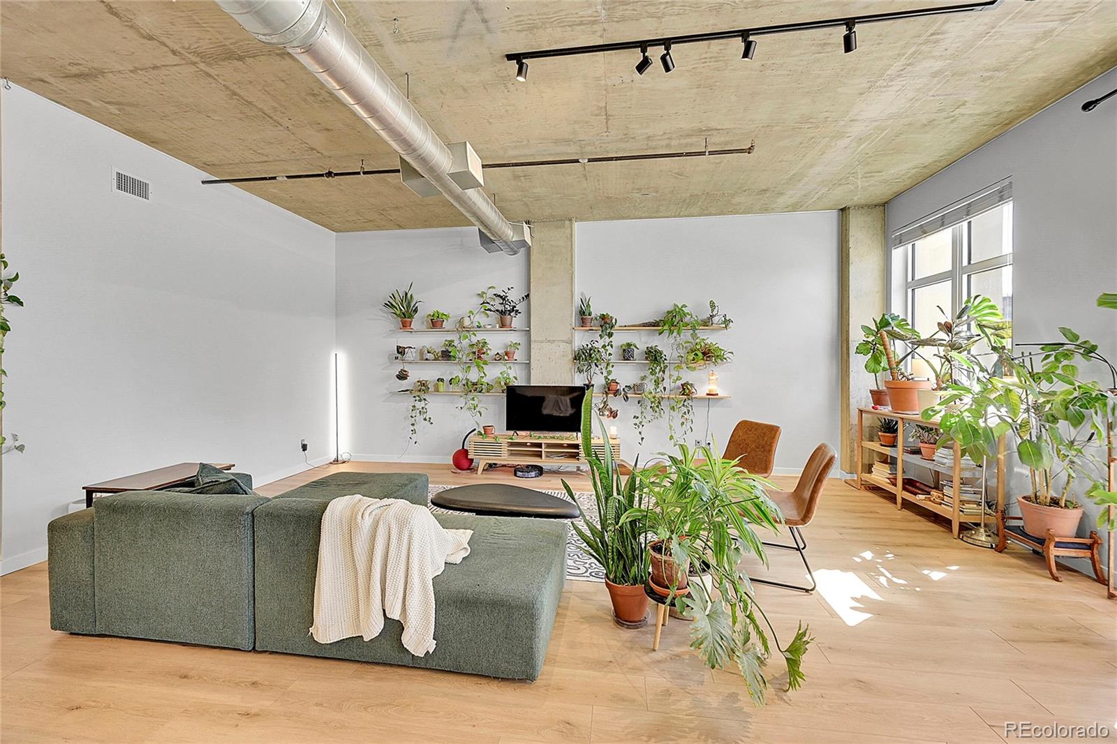 MLS Image #1 for 290 w 12th avenue 205,denver, Colorado