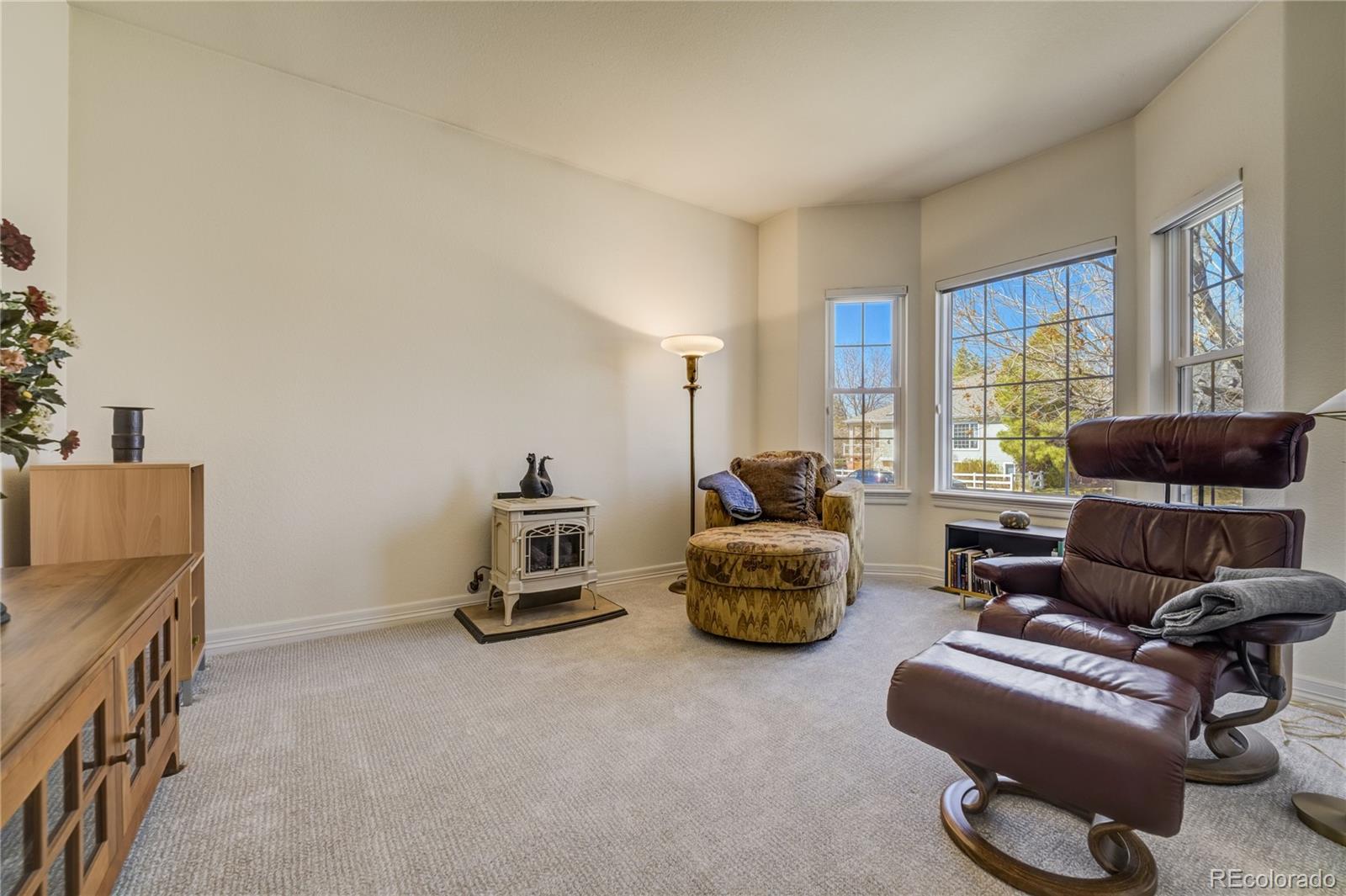 MLS Image #5 for 2462 w peakview court,littleton, Colorado
