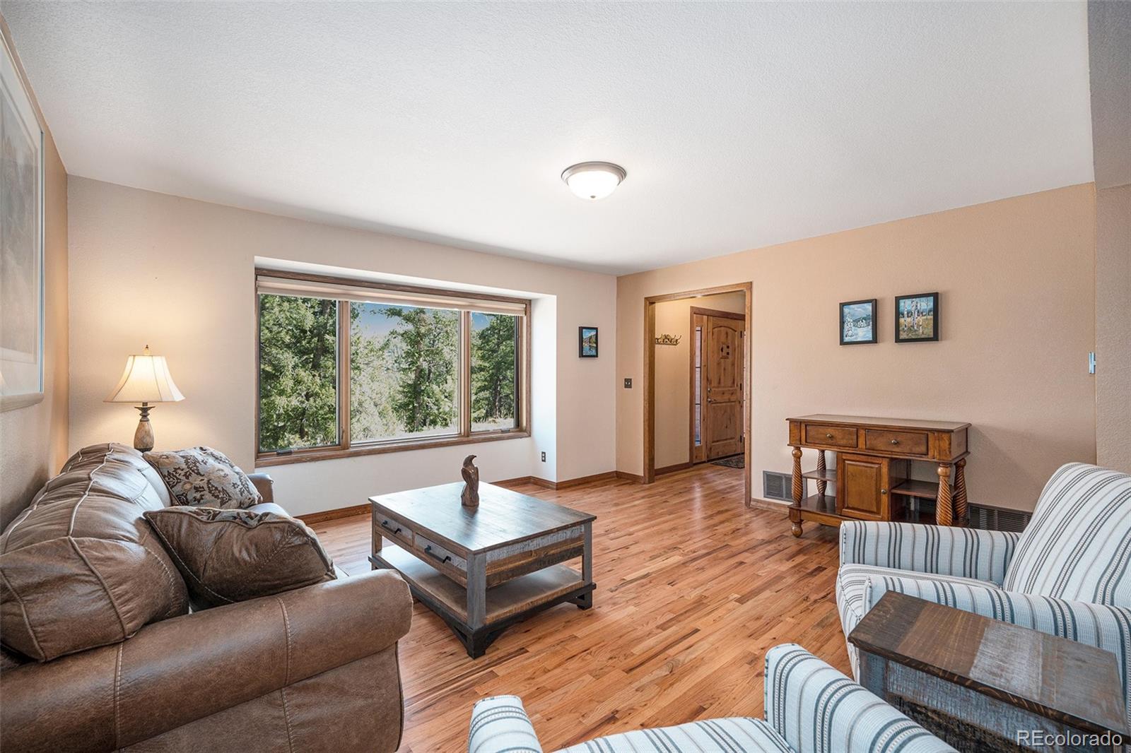 MLS Image #12 for 44  conestoga court,bailey, Colorado