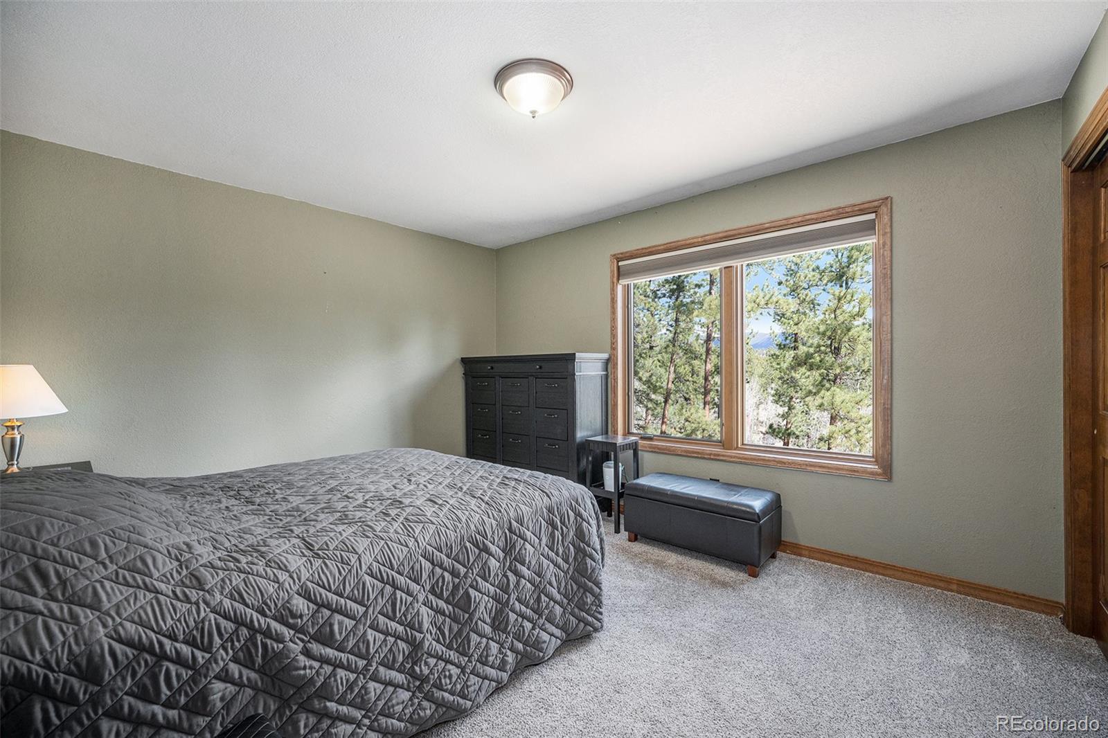 MLS Image #16 for 44  conestoga court,bailey, Colorado