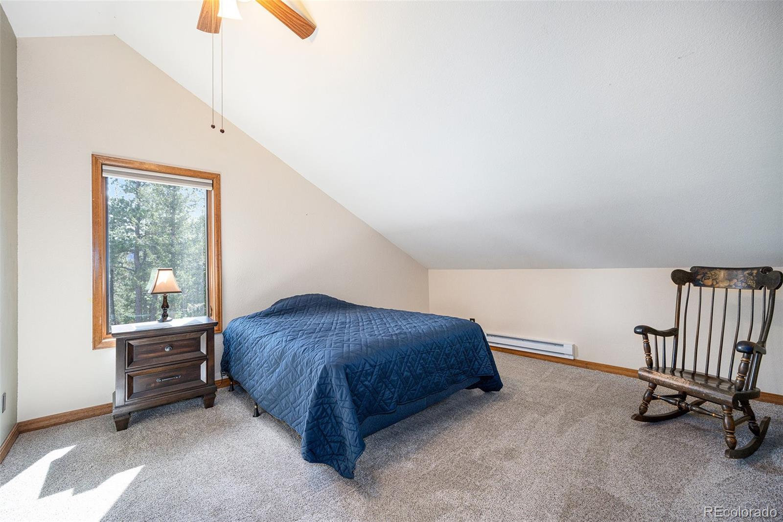 MLS Image #18 for 44  conestoga court,bailey, Colorado
