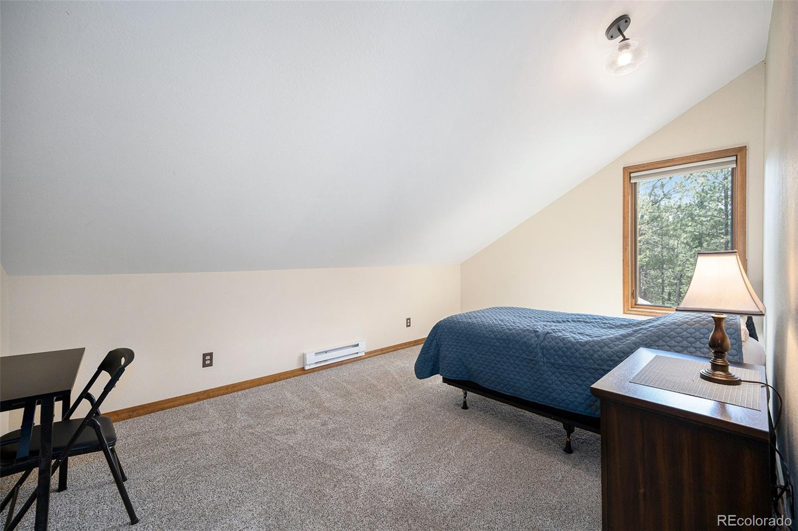 MLS Image #19 for 44  conestoga court,bailey, Colorado
