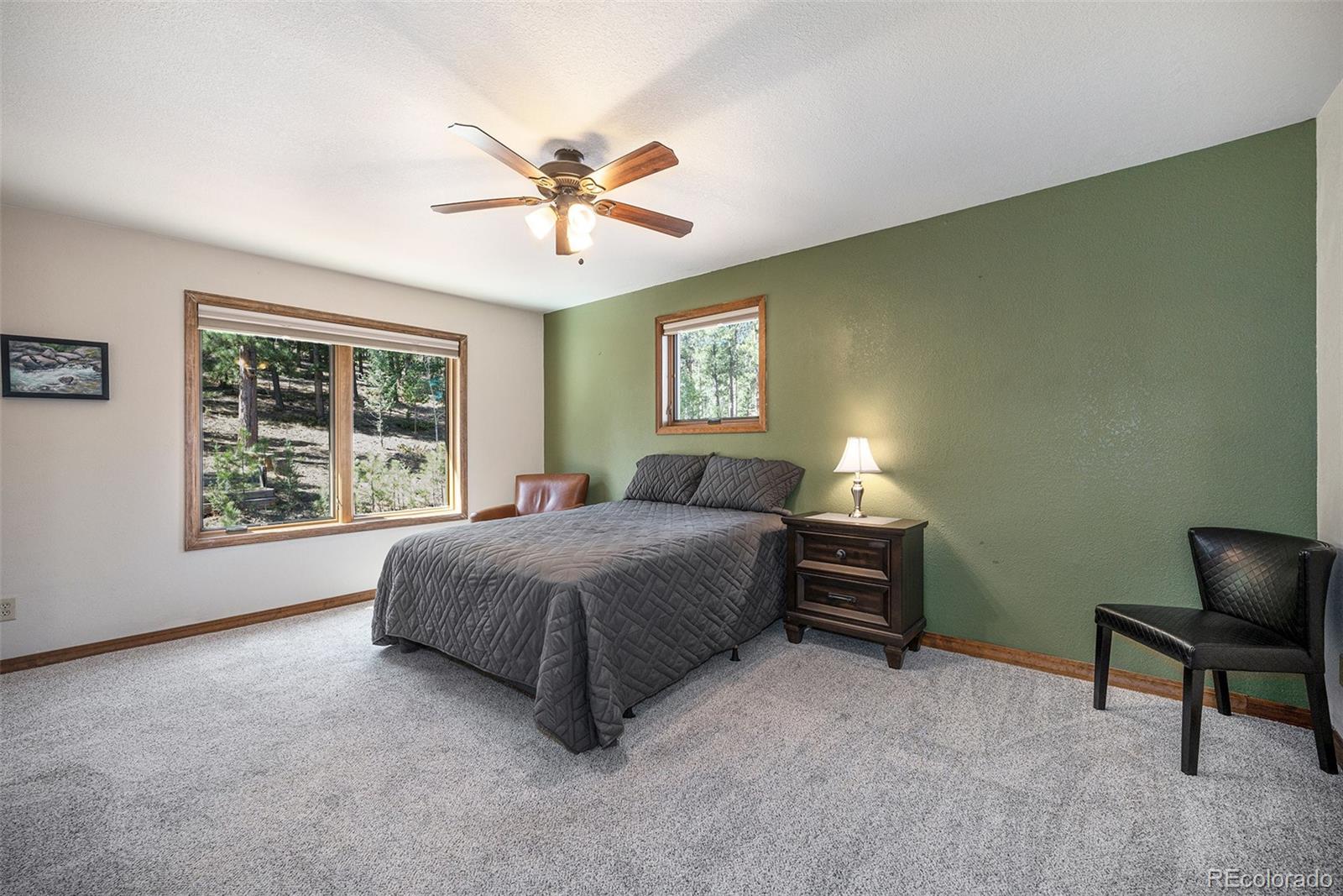MLS Image #20 for 44  conestoga court,bailey, Colorado