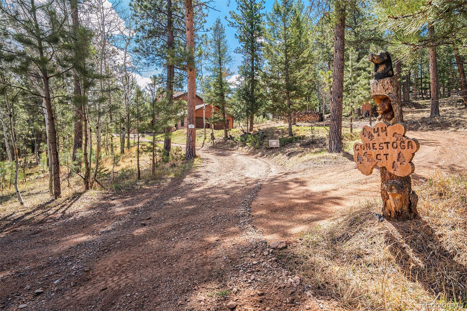 MLS Image #28 for 44  conestoga court,bailey, Colorado