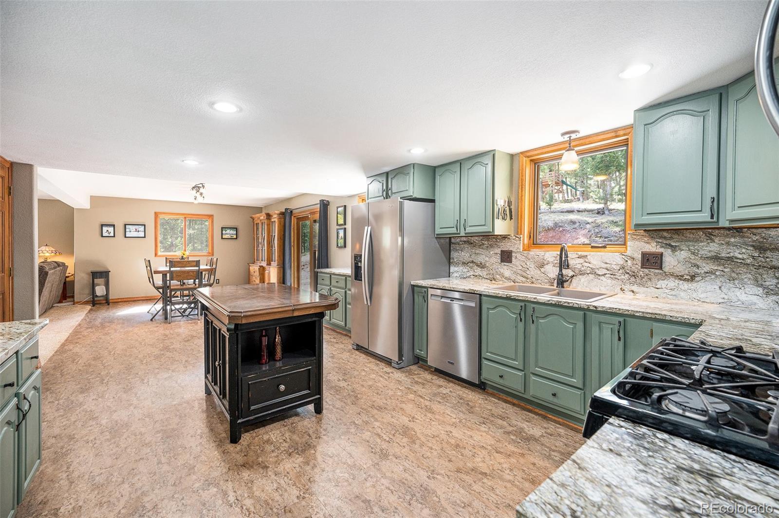 MLS Image #5 for 44  conestoga court,bailey, Colorado