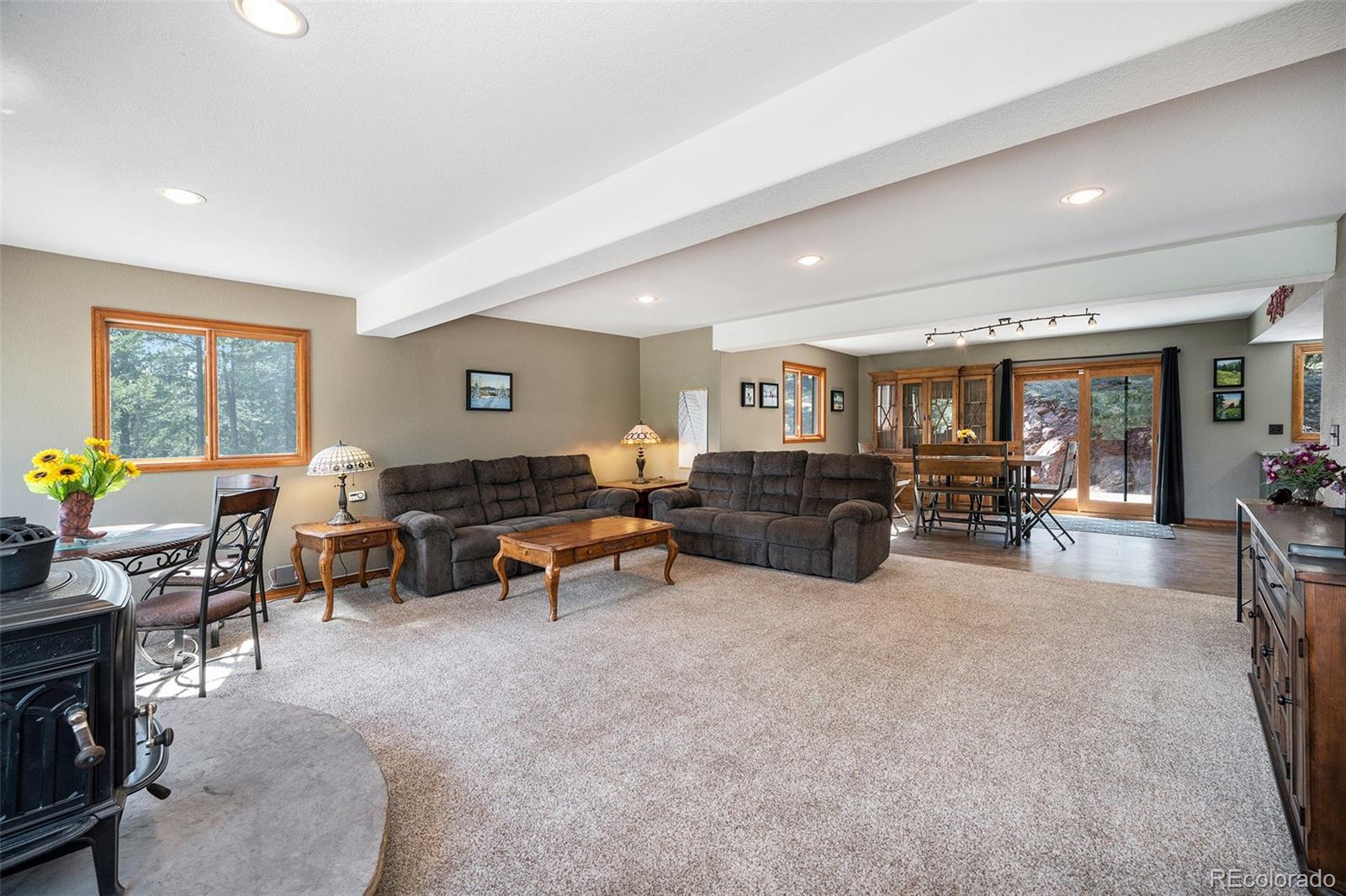 MLS Image #9 for 44  conestoga court,bailey, Colorado
