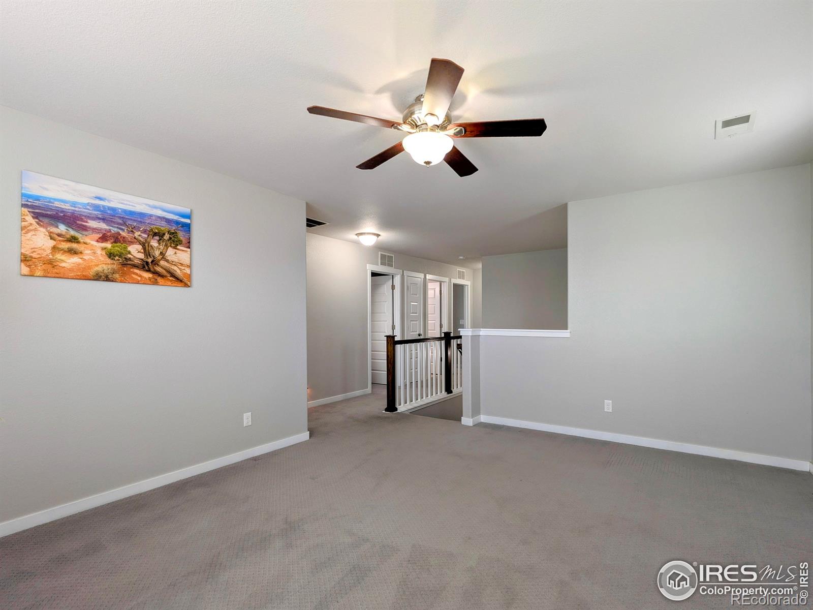 MLS Image #13 for 2872  hydra drive,loveland, Colorado