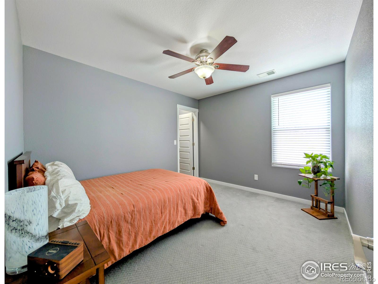 MLS Image #15 for 2872  hydra drive,loveland, Colorado