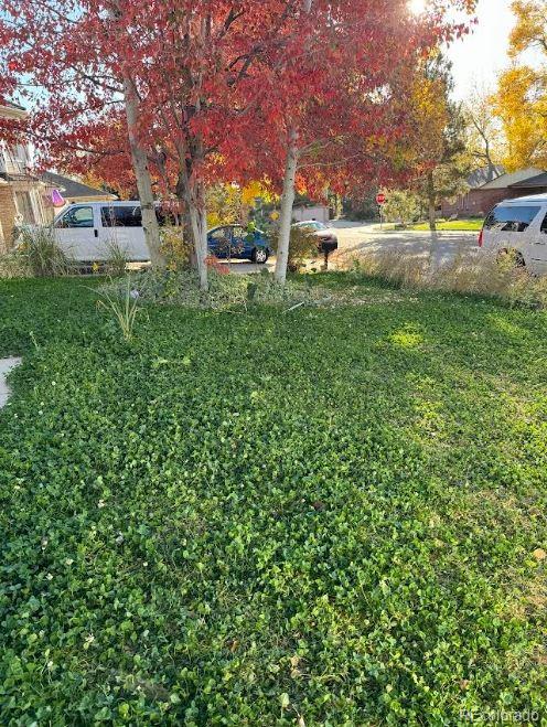 MLS Image #30 for 6487 w weaver avenue,littleton, Colorado