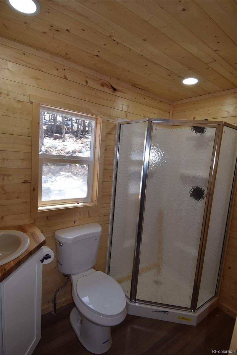MLS Image #10 for 105  bull domingo lane,westcliffe, Colorado
