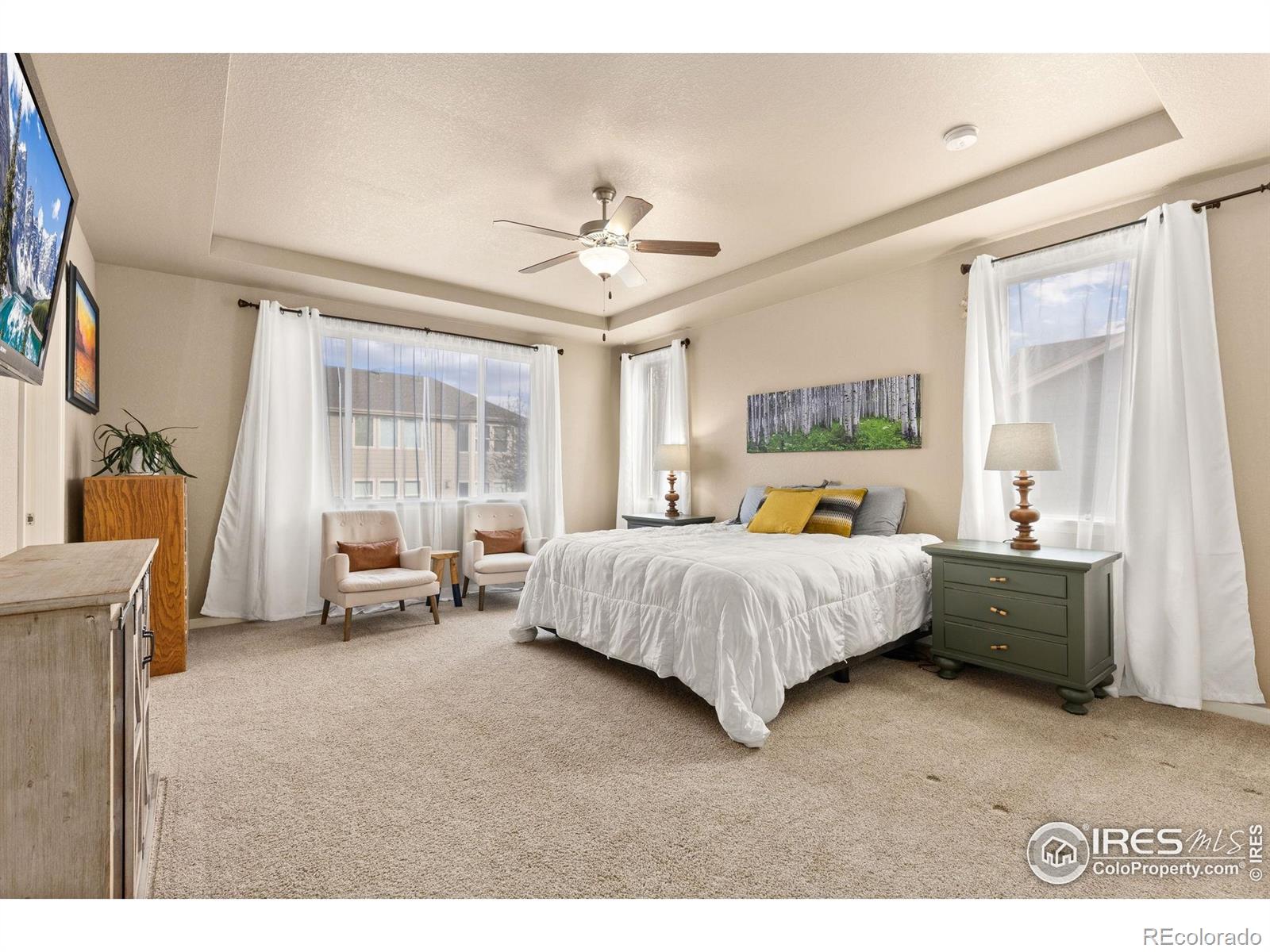 MLS Image #12 for 16848  weber way,mead, Colorado