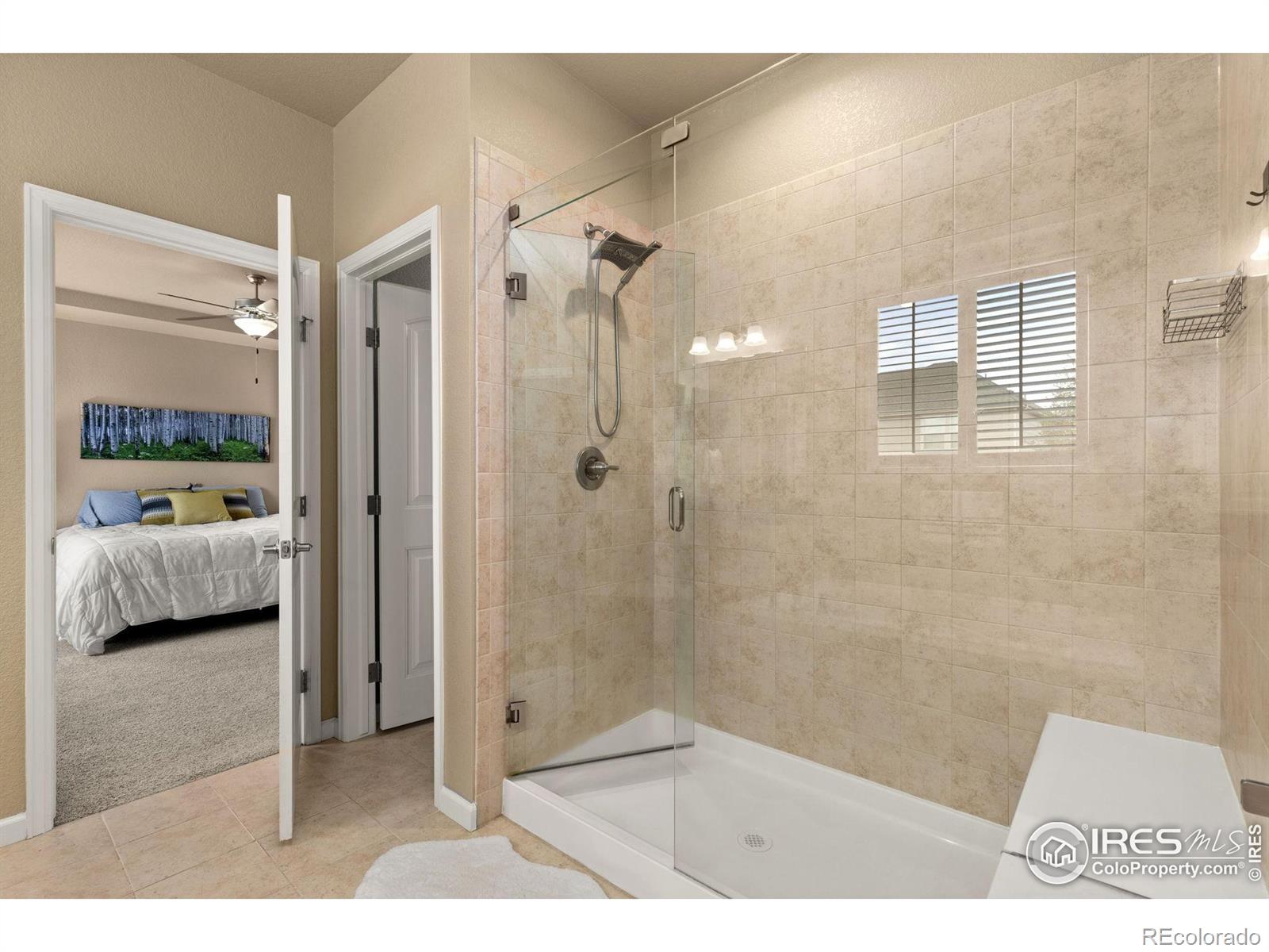 MLS Image #14 for 16848  weber way,mead, Colorado