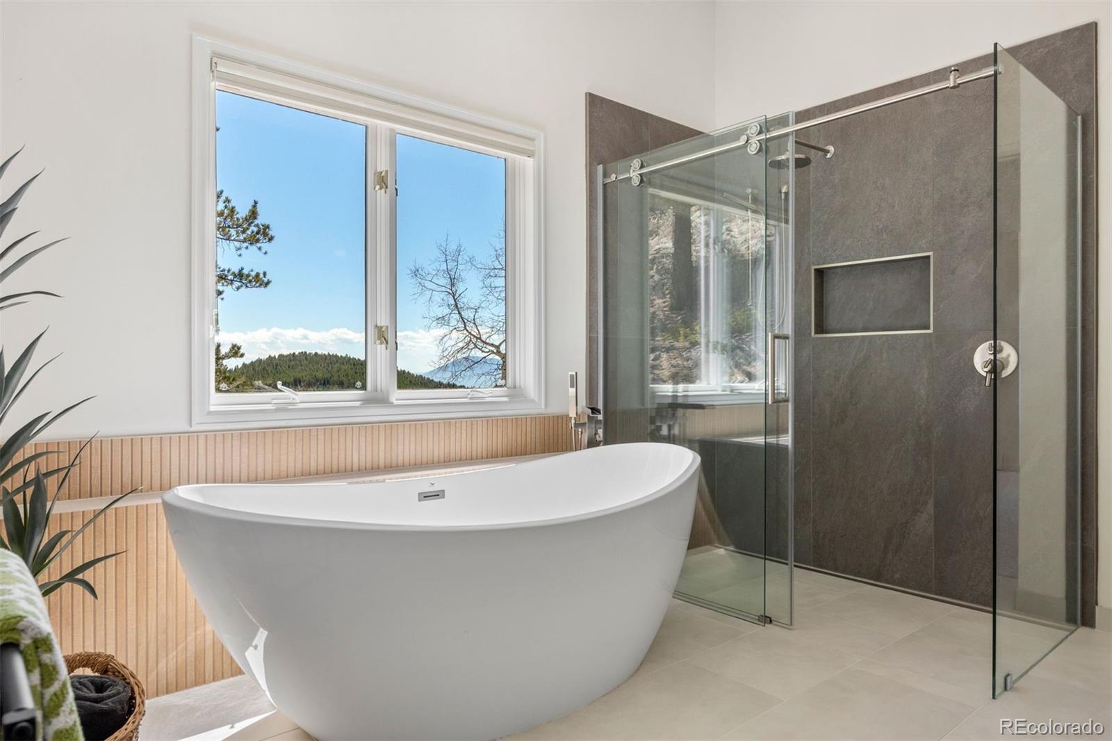 MLS Image #20 for 12672  rancho court,conifer, Colorado