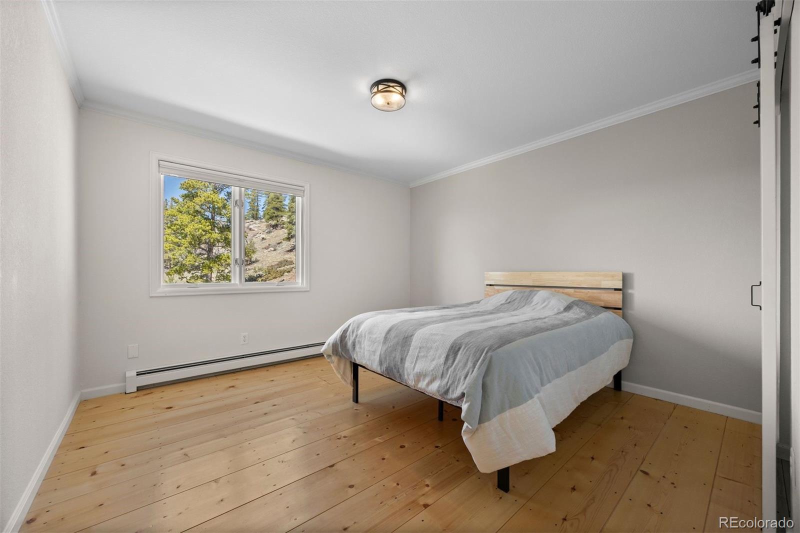 MLS Image #23 for 12672  rancho court,conifer, Colorado