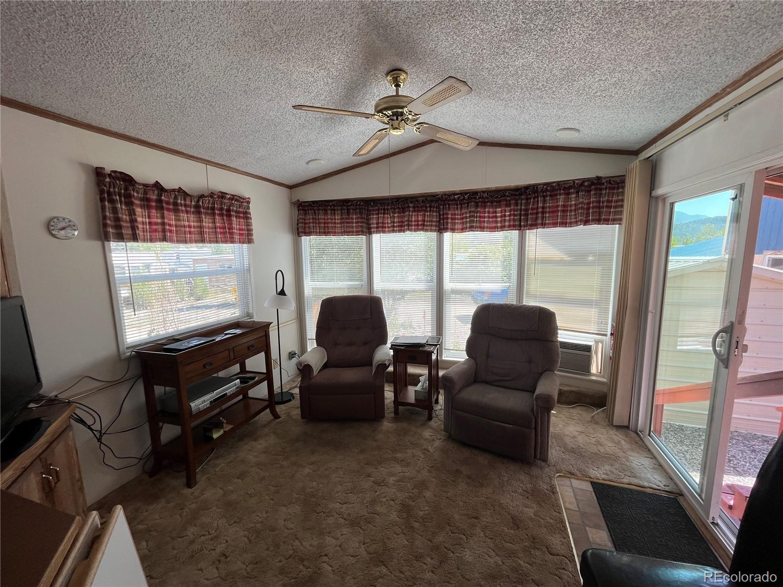 MLS Image #9 for 10795  county road 197 a ,nathrop, Colorado