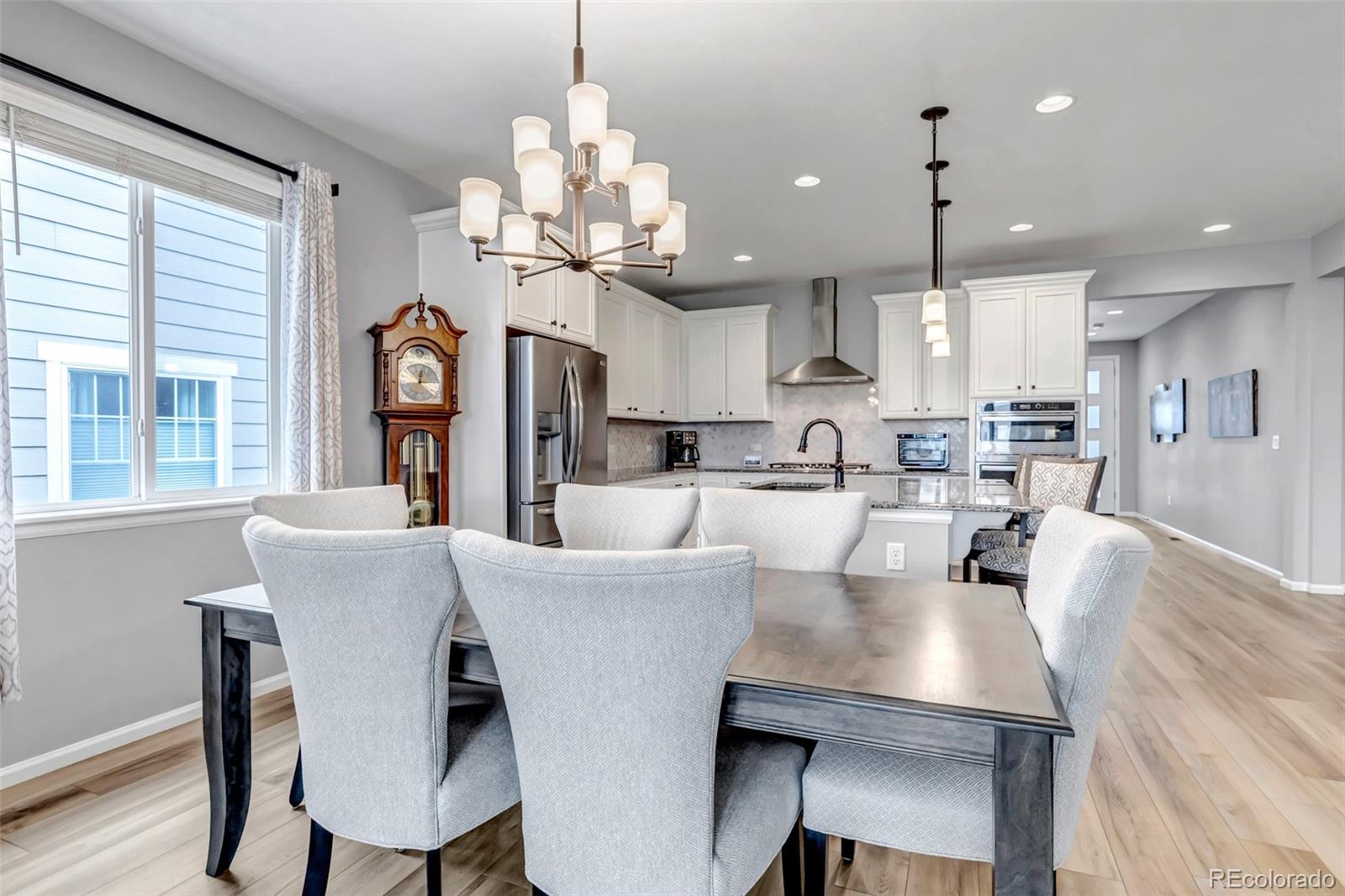 MLS Image #17 for 9055  swan river street,littleton, Colorado