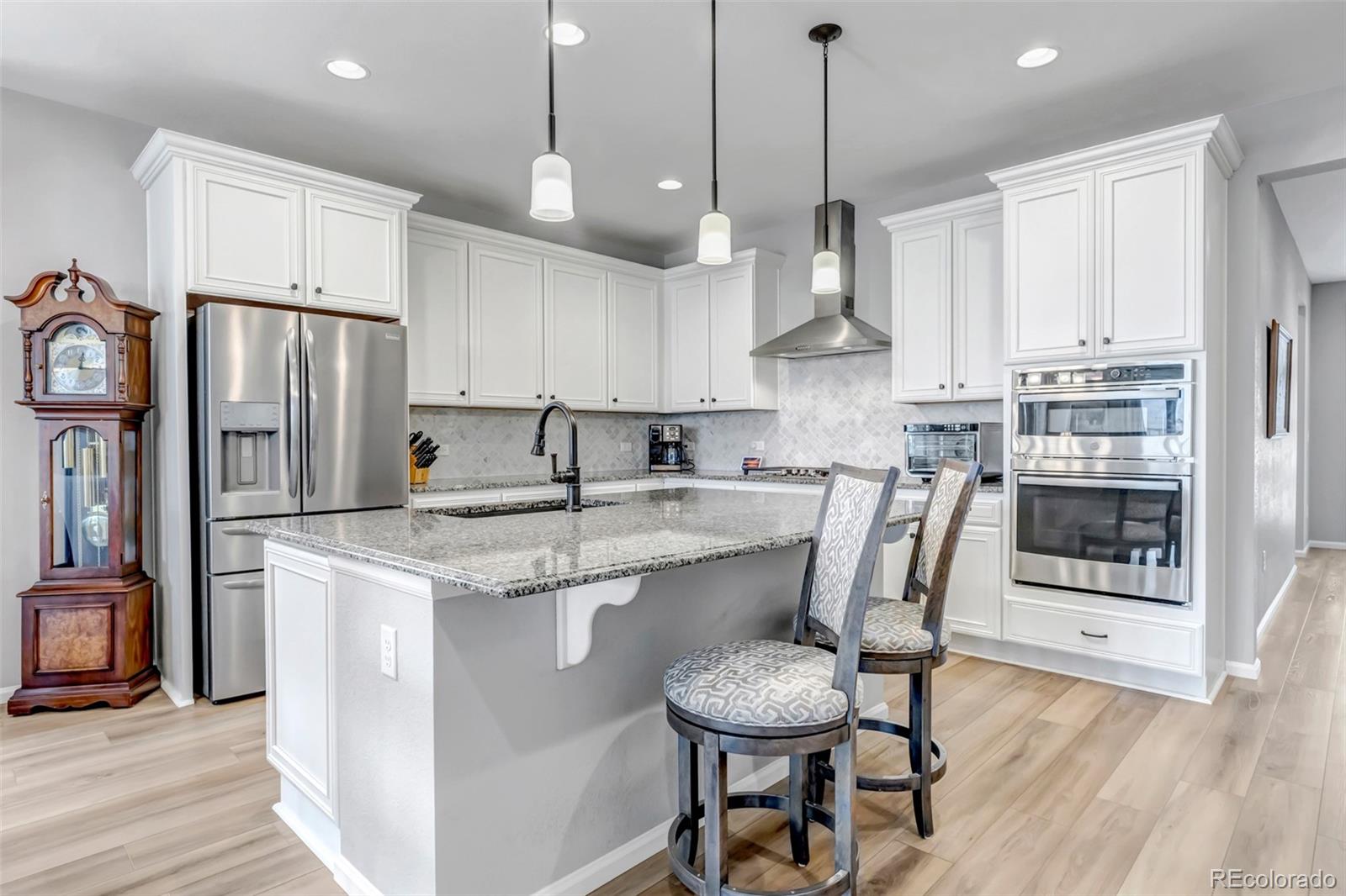 MLS Image #18 for 9055  swan river street,littleton, Colorado