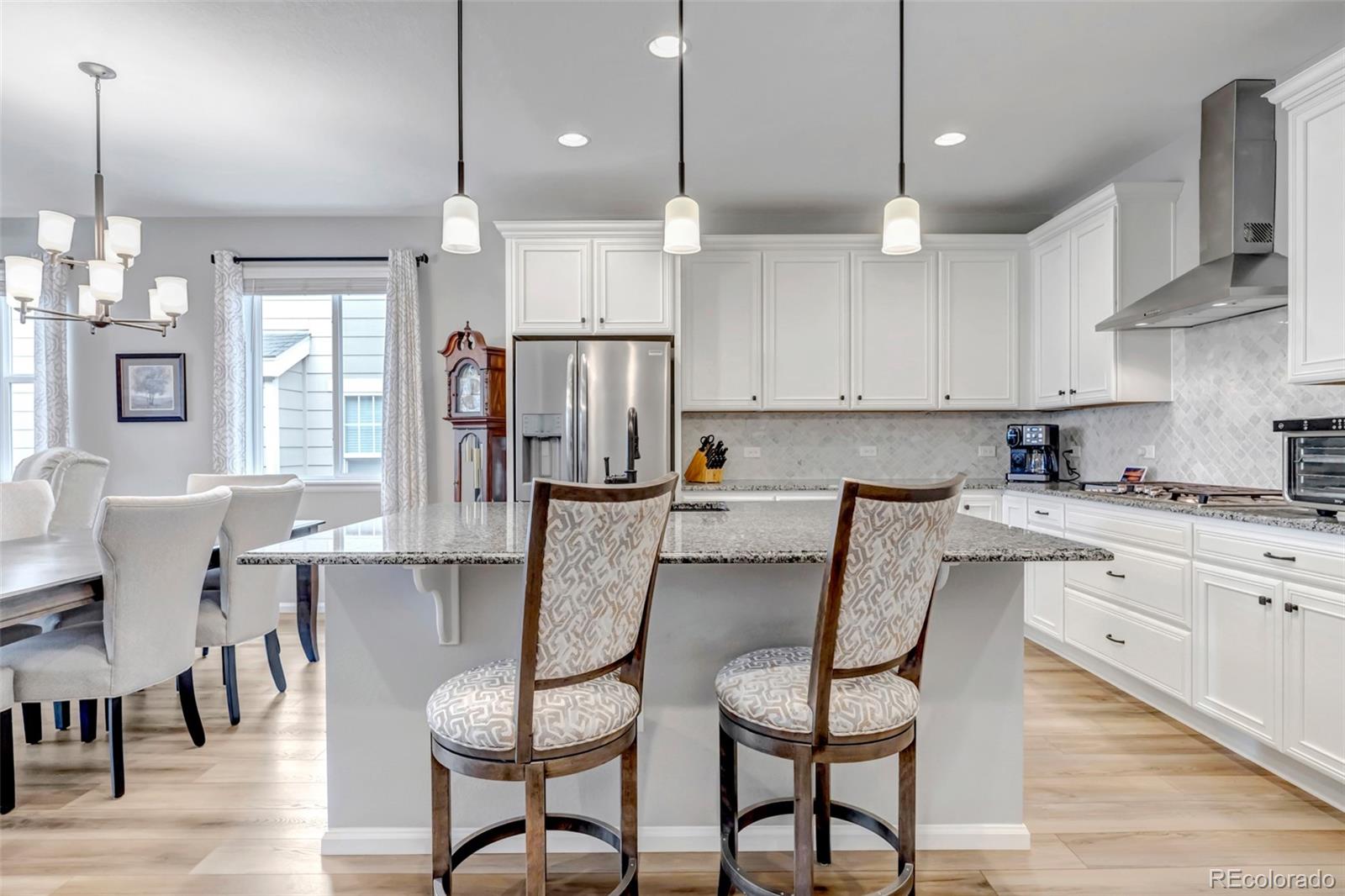 MLS Image #19 for 9055  swan river street,littleton, Colorado
