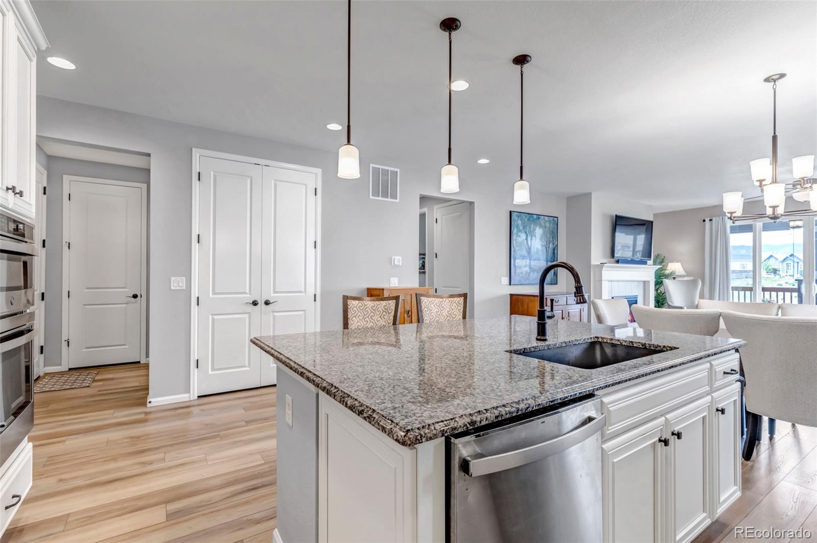MLS Image #22 for 9055  swan river street,littleton, Colorado