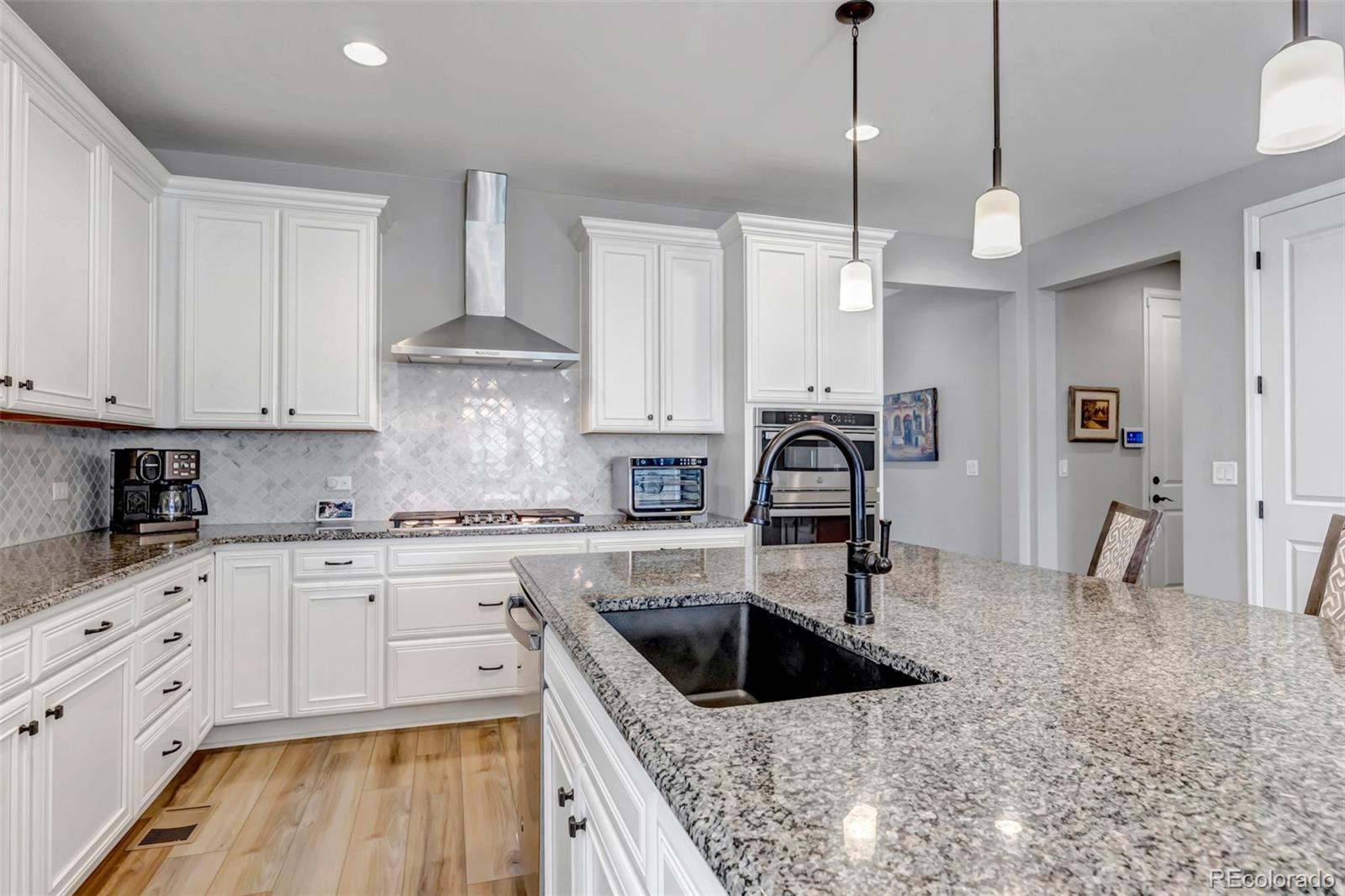 MLS Image #23 for 9055  swan river street,littleton, Colorado