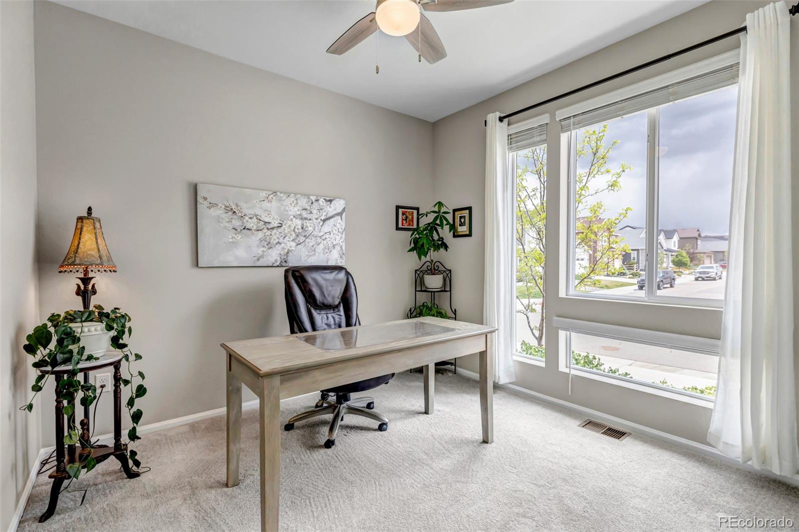 MLS Image #26 for 9055  swan river street,littleton, Colorado