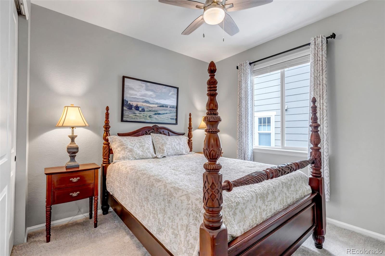 MLS Image #28 for 9055  swan river street,littleton, Colorado