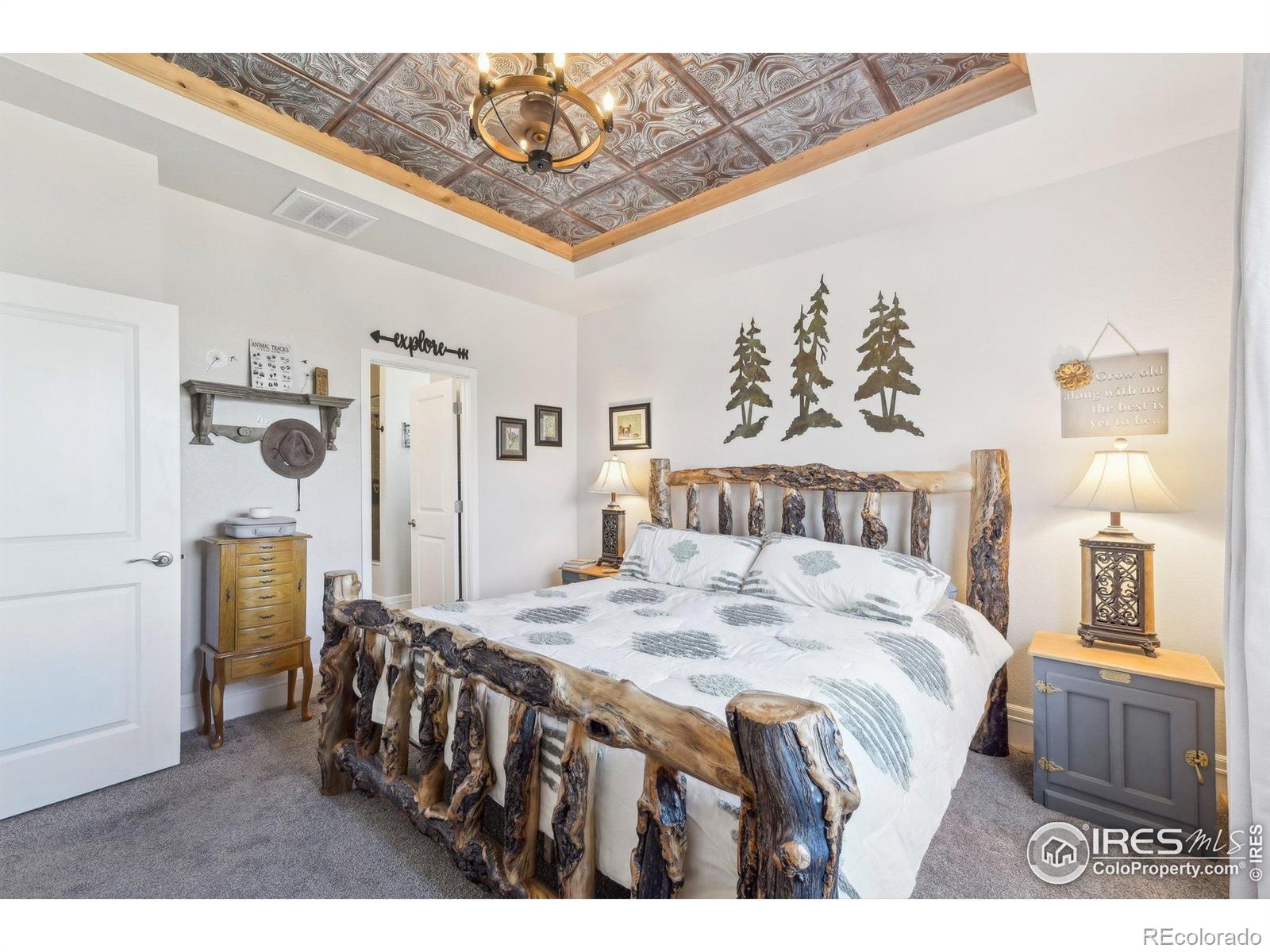 MLS Image #11 for 226  ole bessie drive,berthoud, Colorado