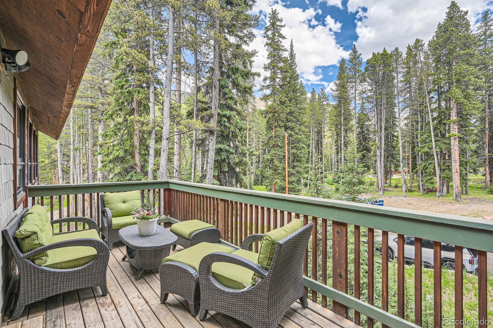 MLS Image #27 for 5739  highway 9 ,breckenridge, Colorado