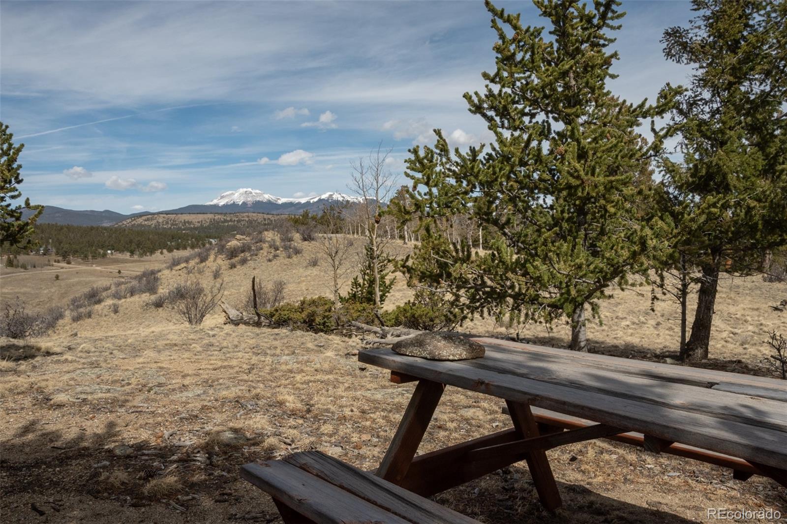 MLS Image #12 for 3750  singletree road,hartsel, Colorado