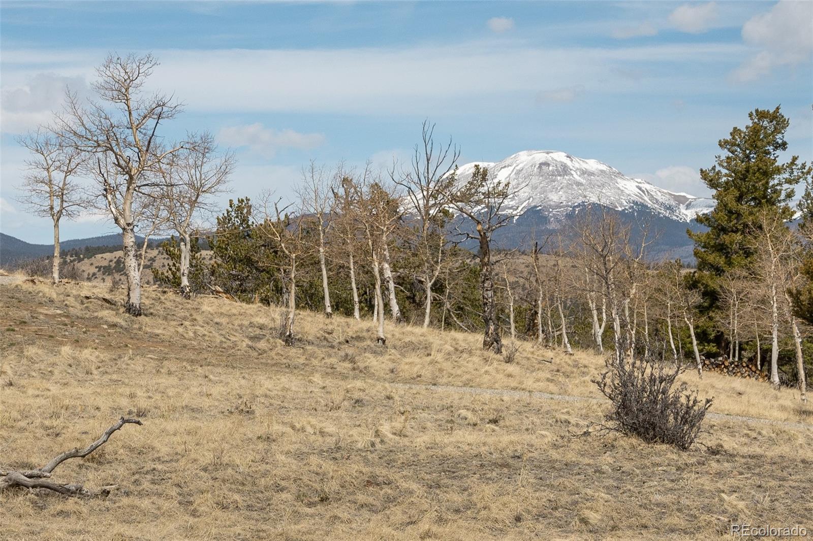 MLS Image #4 for 3750  singletree road,hartsel, Colorado
