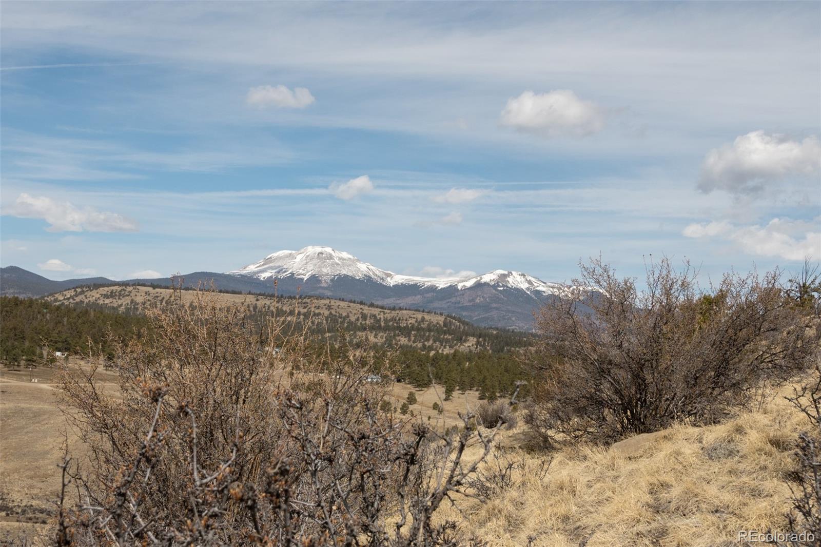 MLS Image #44 for 3750  singletree road,hartsel, Colorado