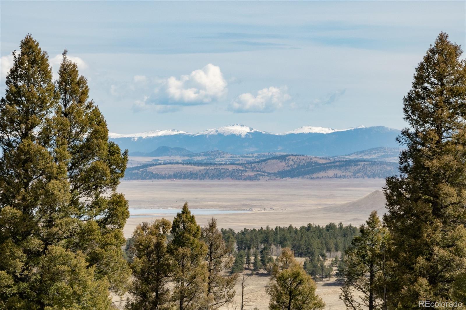 MLS Image #7 for 3750  singletree road,hartsel, Colorado