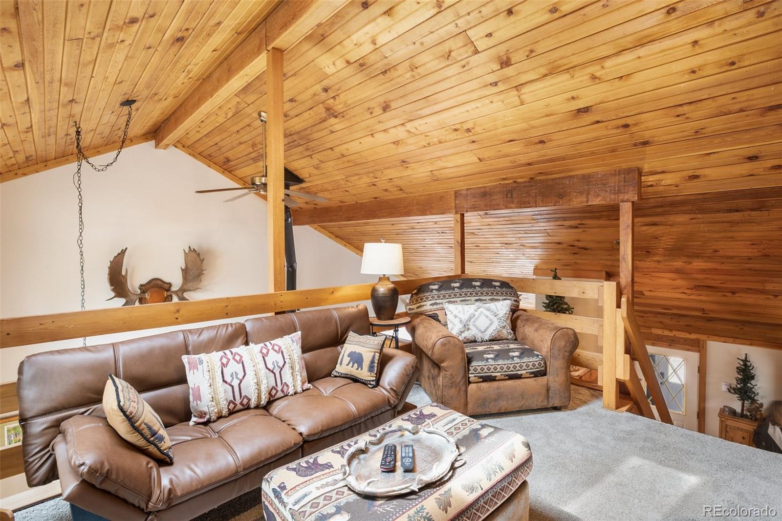 MLS Image #34 for 34  nebraska circle,florissant, Colorado