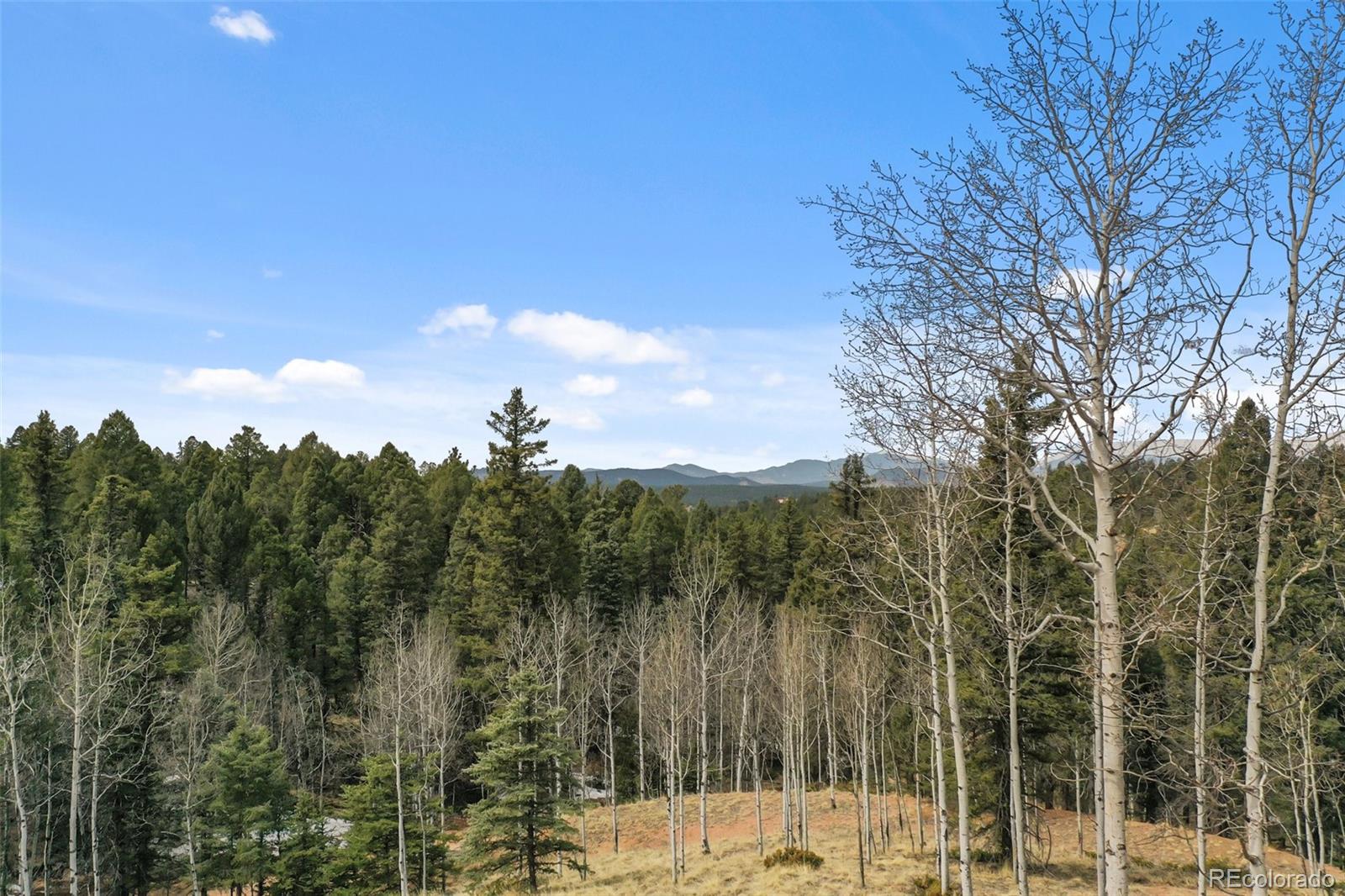 MLS Image #45 for 34  nebraska circle,florissant, Colorado