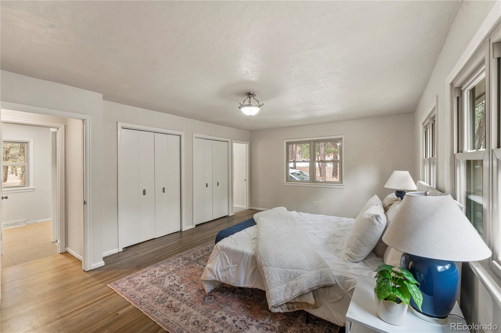 MLS Image #13 for 3815  highview drive,colorado springs, Colorado