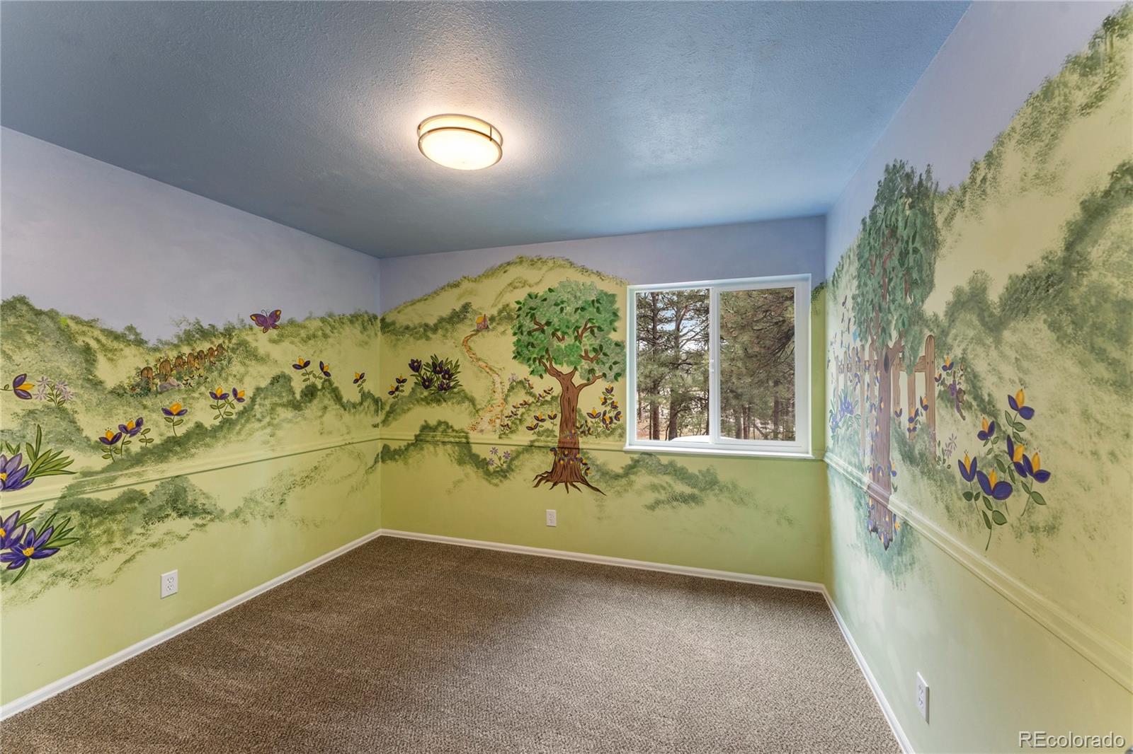 MLS Image #25 for 3815  highview drive,colorado springs, Colorado