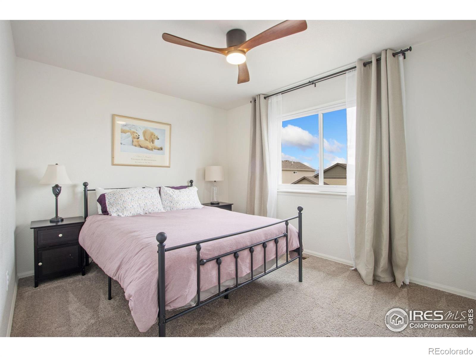 MLS Image #12 for 1662  thrive drive,windsor, Colorado
