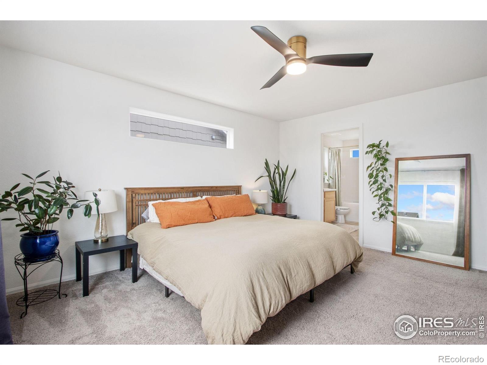 MLS Image #15 for 1662  thrive drive,windsor, Colorado