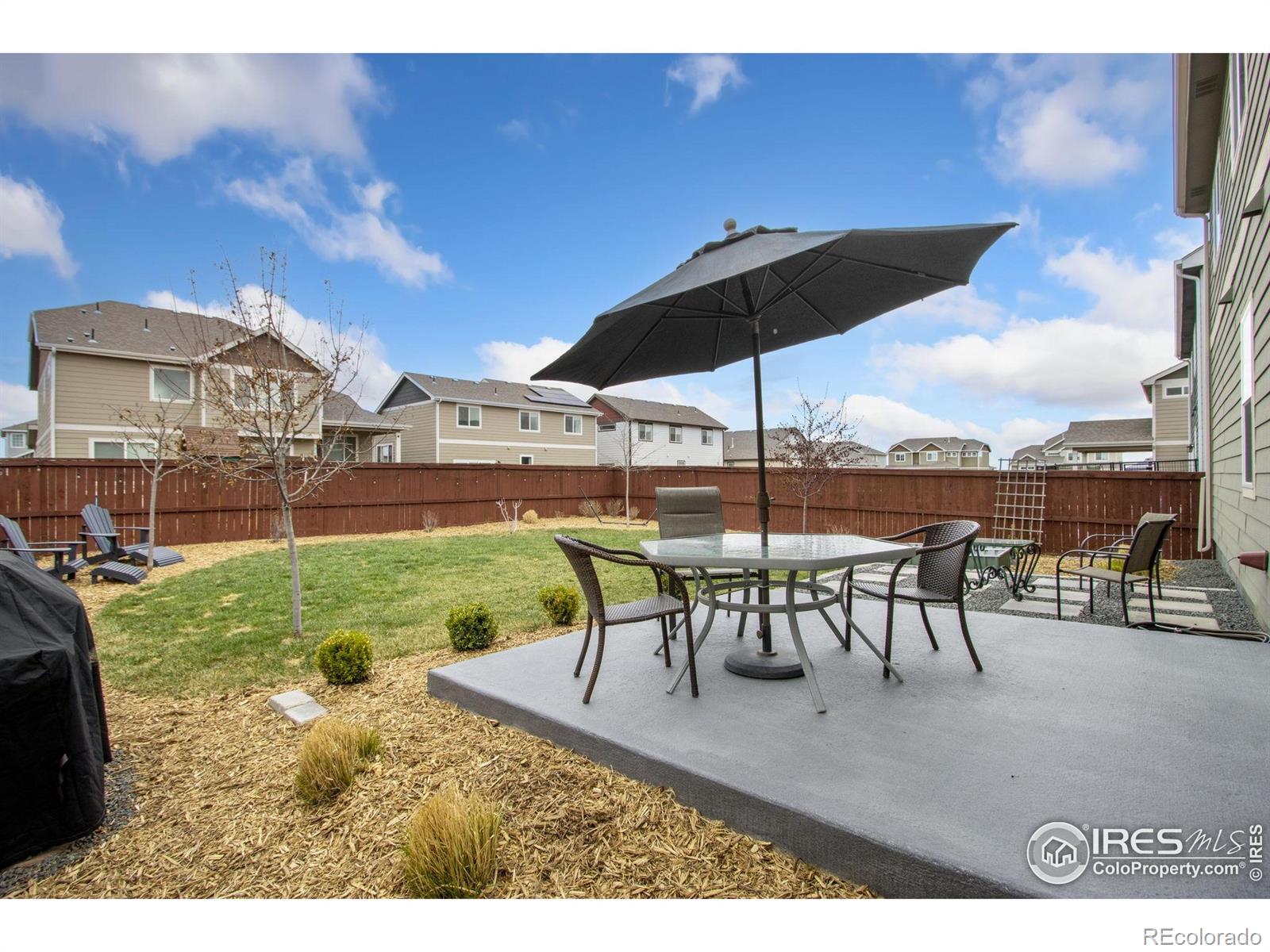 MLS Image #20 for 1662  thrive drive,windsor, Colorado