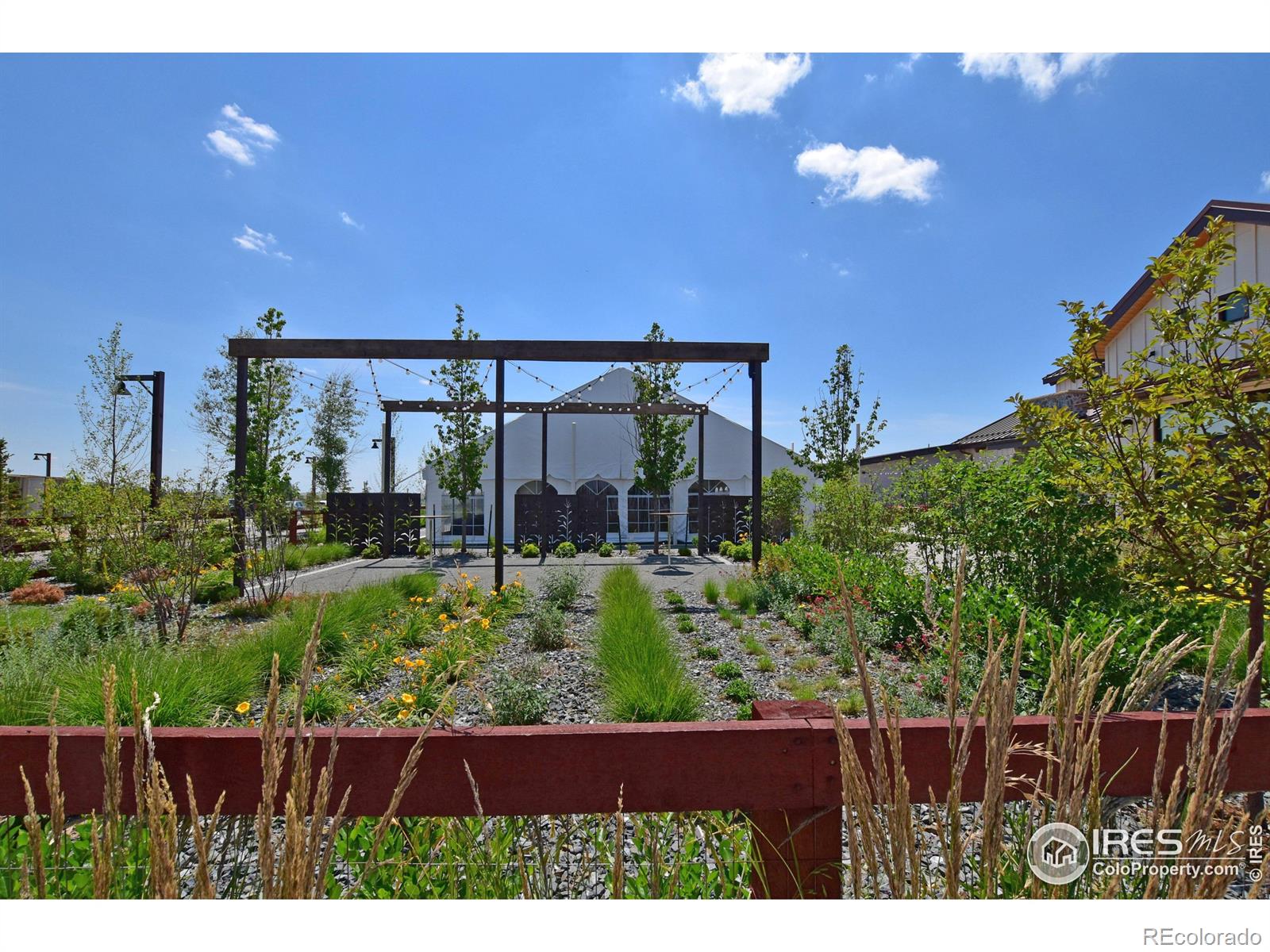 MLS Image #31 for 1662  thrive drive,windsor, Colorado