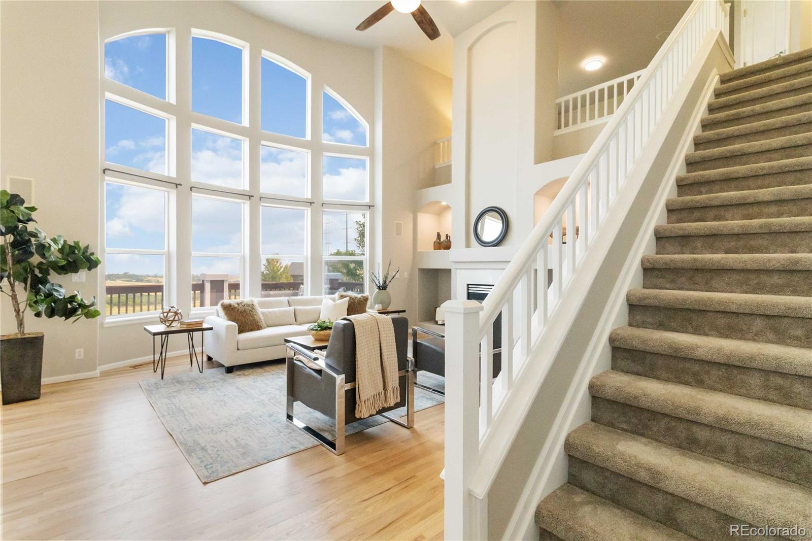 MLS Image #11 for 6743  serena avenue,castle pines, Colorado
