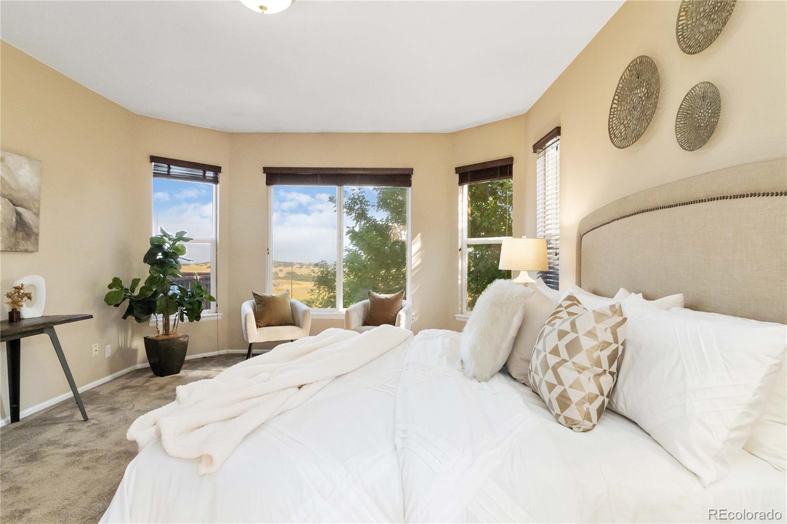 MLS Image #20 for 6743  serena avenue,castle pines, Colorado