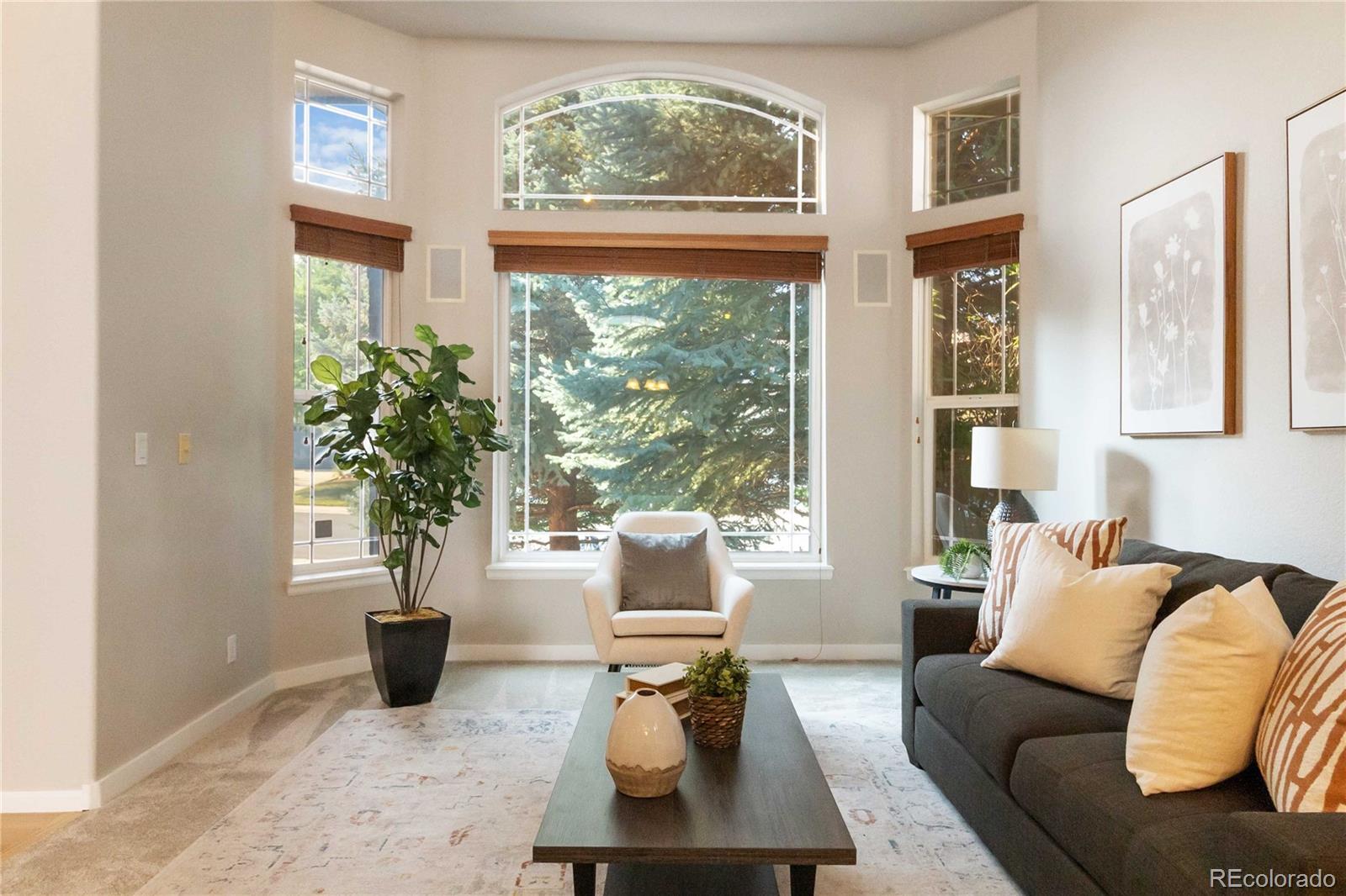 MLS Image #7 for 6743  serena avenue,castle pines, Colorado