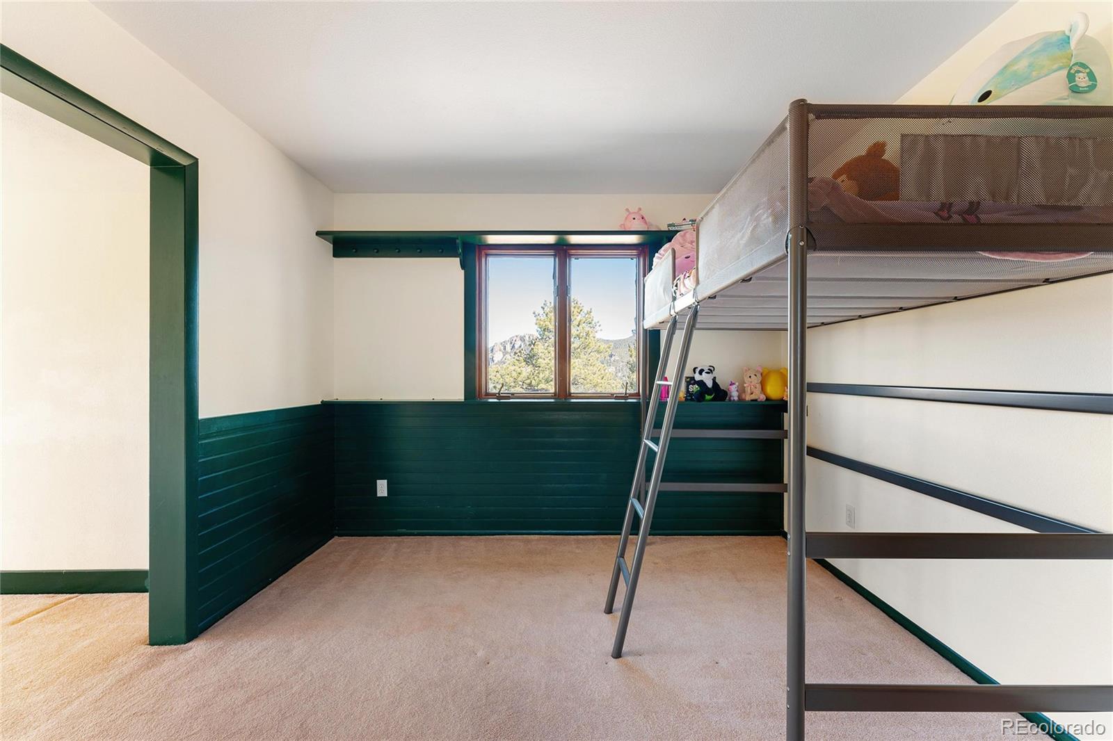 MLS Image #22 for 89  jones creek lane,pine, Colorado