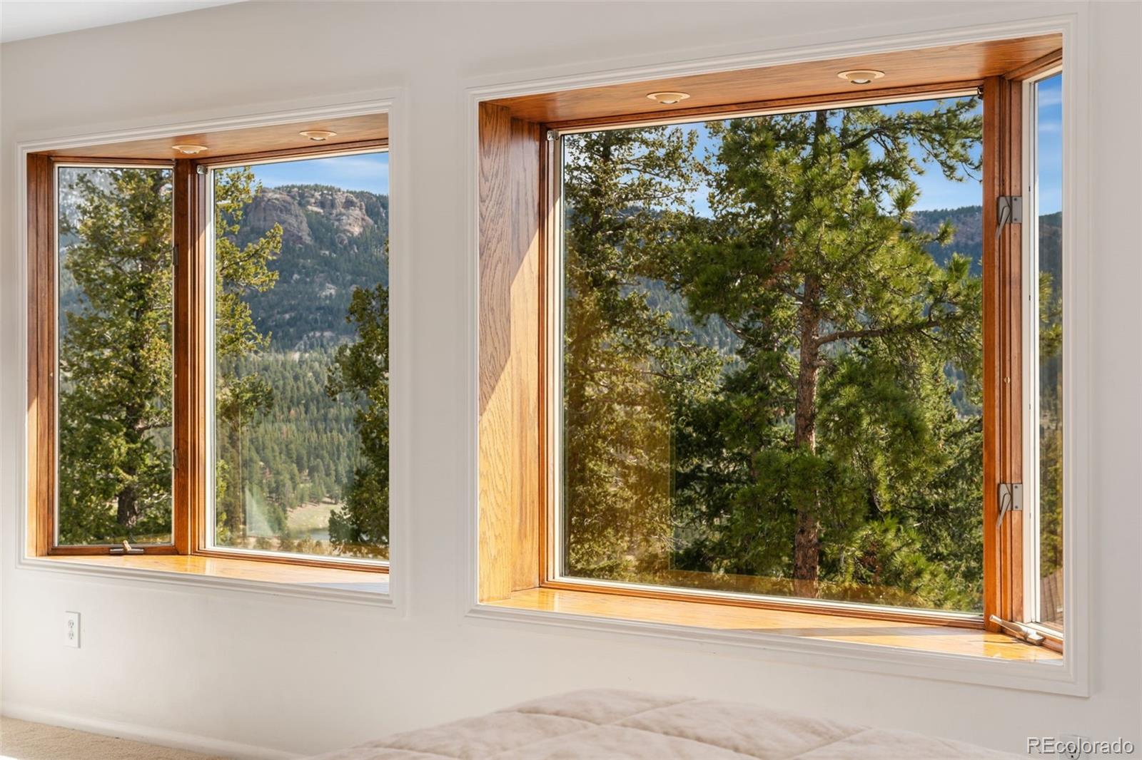 MLS Image #23 for 89  jones creek lane,pine, Colorado