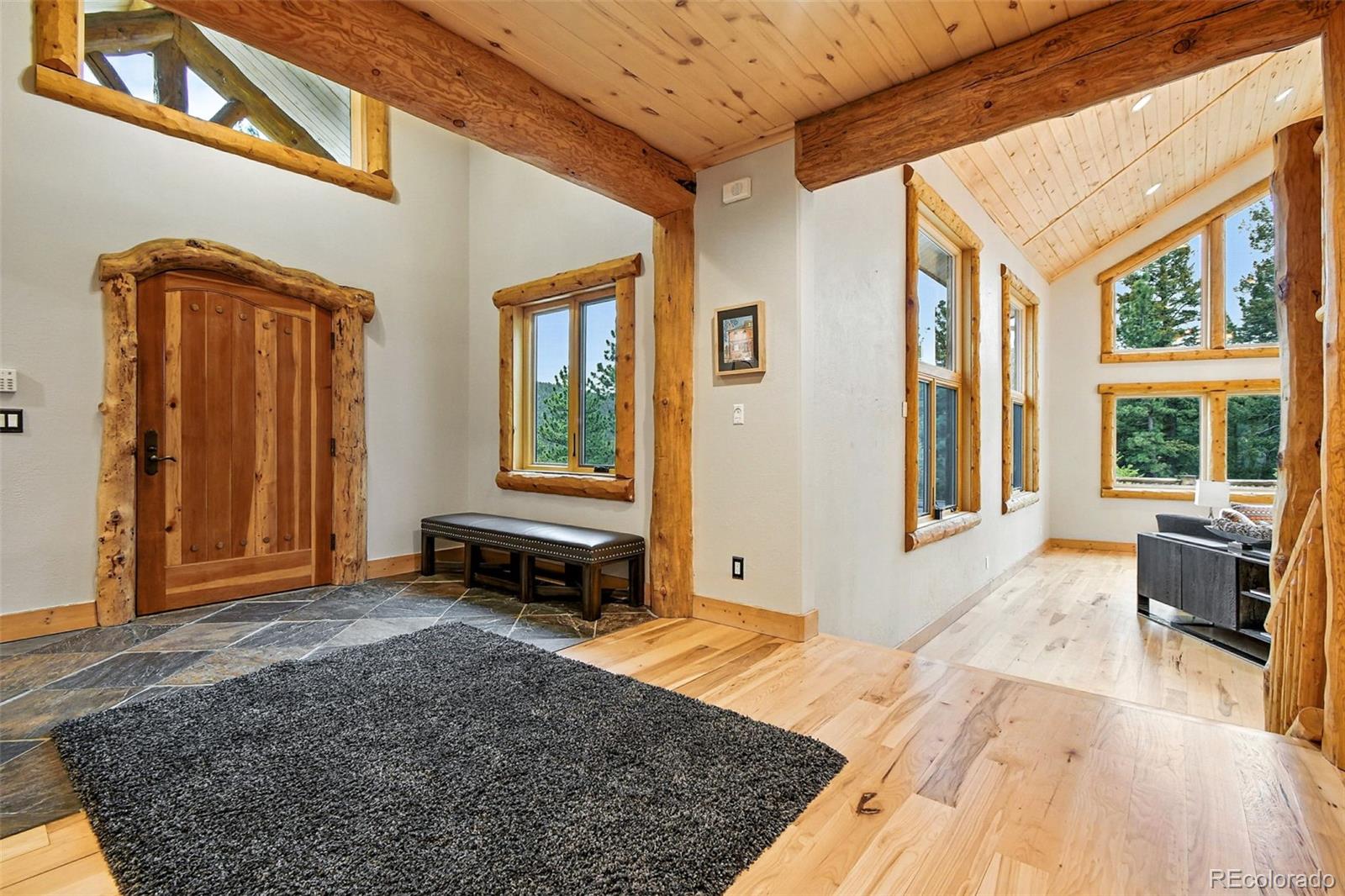 MLS Image #1 for 367  county road c ,pine, Colorado
