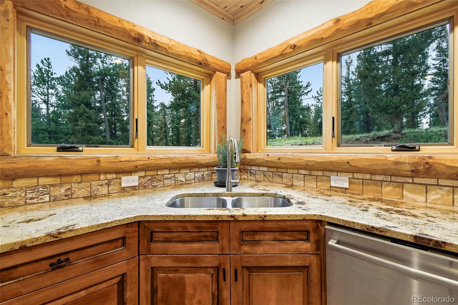 MLS Image #14 for 367  county road c ,pine, Colorado