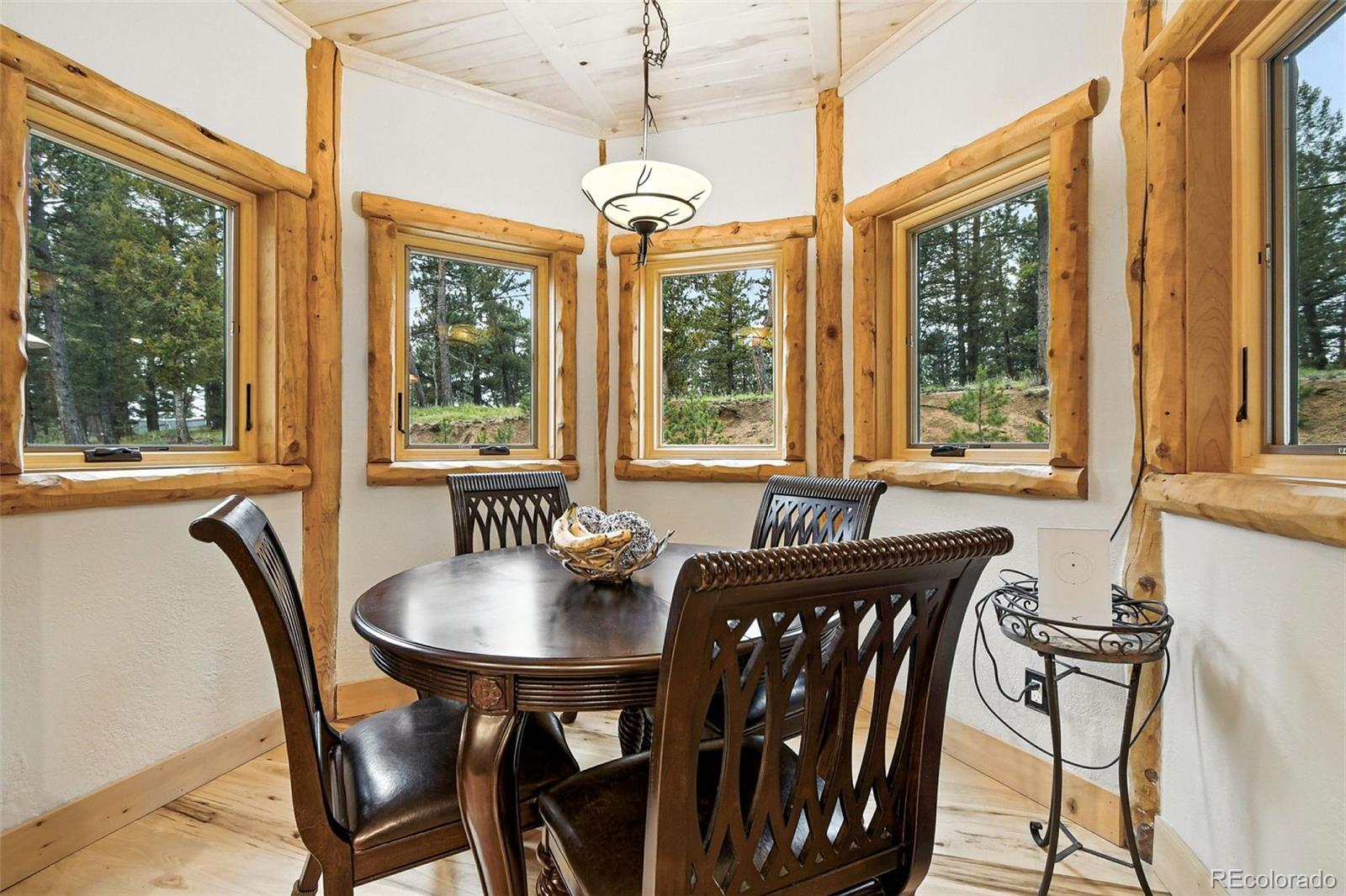 MLS Image #17 for 367  county road c ,pine, Colorado