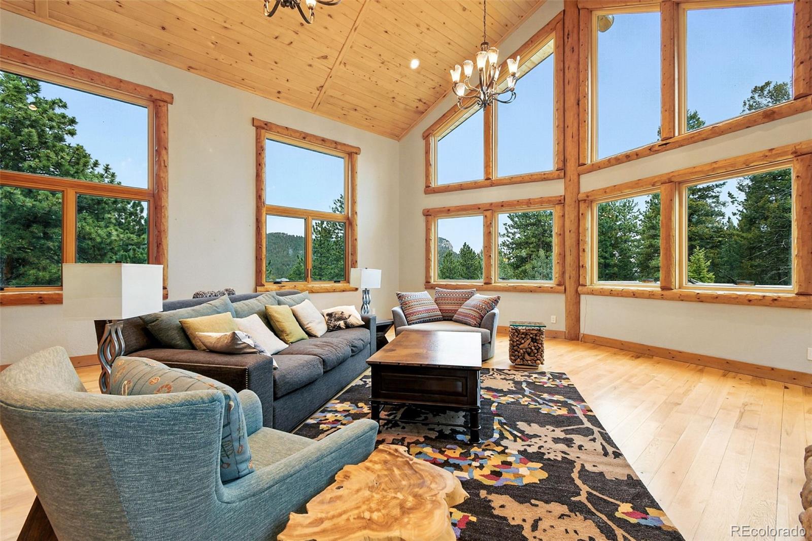MLS Image #3 for 367  county road c ,pine, Colorado