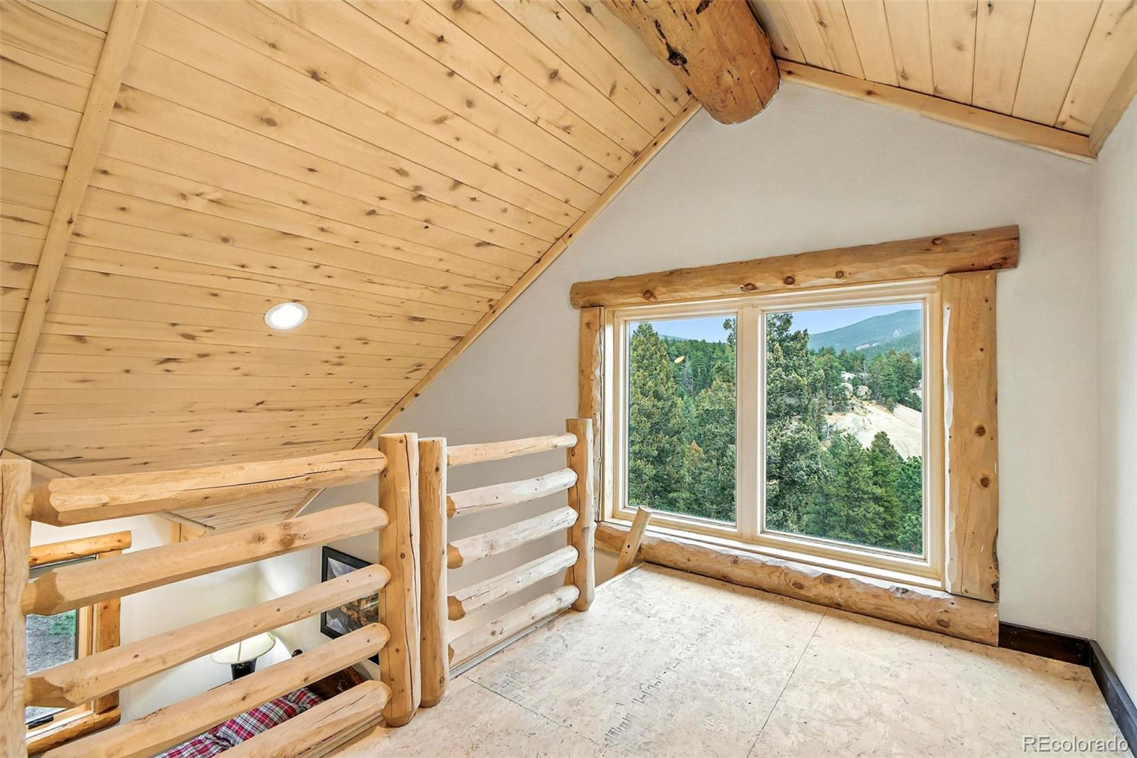 MLS Image #33 for 367  county road c ,pine, Colorado